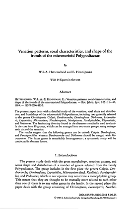 Shape of the Polypodiaceae