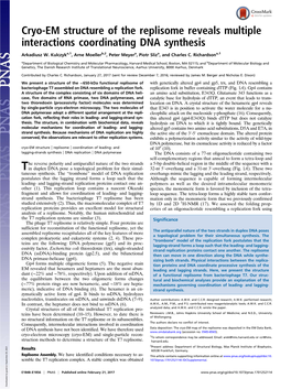 Cryo-EM Structure of the Replisome Reveals Multiple Interactions Coordinating DNA Synthesis