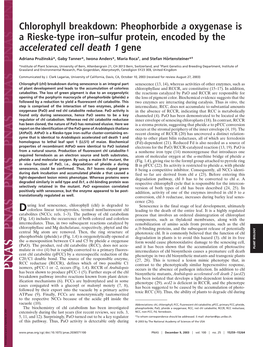 Chlorophyll Breakdown: Pheophorbide a Oxygenase Is a Rieske-Type Iron–Sulfur Protein, Encoded by the Accelerated Cell Death 1 Gene