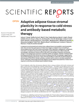 Adaptive Adipose Tissue Stromal Plasticity in Response to Cold Stress