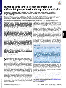 Human-Specific Tandem Repeat Expansion and Differential Gene Expression During Primate Evolution