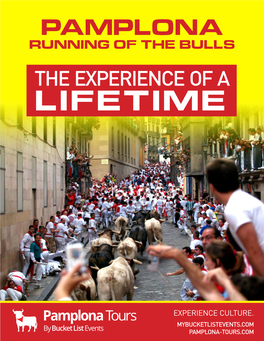 Pamplona Running of the Bulls the Experience of a Lifetime