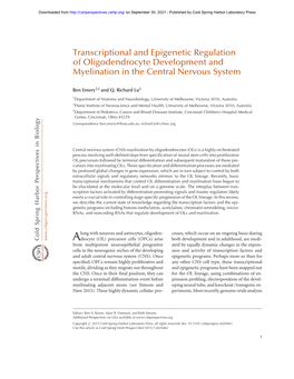 Transcriptional and Epigenetic Regulation of Oligodendrocyte Development and Myelination in the Central Nervous System