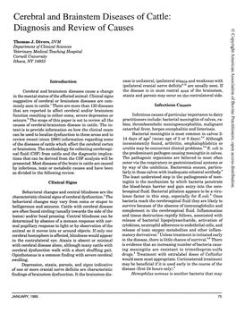 Cerebral and Brainsten1 Diseases of Cattle: Diagnosis and Review of Causes