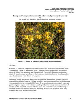 Ecology and Management of Common St. Johnswort (Hypericum Perforatum L.) by Jim Jacobs, NRCS Invasive Species Specialist, Bozeman, Montana