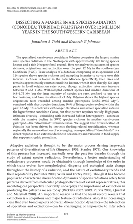 (Conoidea: Turridae: <I>Polystira</I>) Over 12 Million Years in the Sout