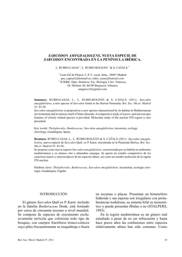 Sarcodon Amygdaliolens, Nueva Especie De Sarcodon Encontrada En La Península Ibérica