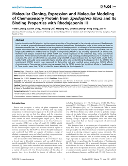 Molecular Cloning, Expression and Molecular Modeling of Chemosensory Protein from Spodoptera Litura and Its Binding Properties with Rhodojaponin III