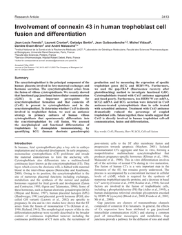 Involvement of Connexin 43 in Human Trophoblast Cell Fusion and Differentiation