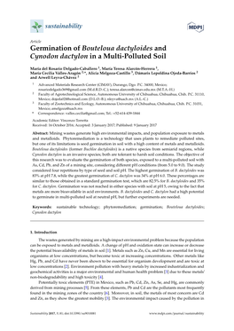 Germination of Bouteloua Dactyloides and Cynodon Dactylon in a Multi-Polluted Soil