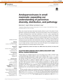 Amdoparvoviruses in Small Mammals: Expanding Our Understanding of Parvovirus Diversity, Distribution, and Pathology