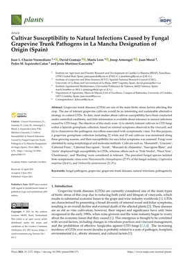 Cultivar Susceptibility to Natural Infections Caused by Fungal Grapevine Trunk Pathogens in La Mancha Designation of Origin (Spain)