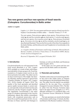 (Coleoptera: Curculionoidea) in Baltic Amber
