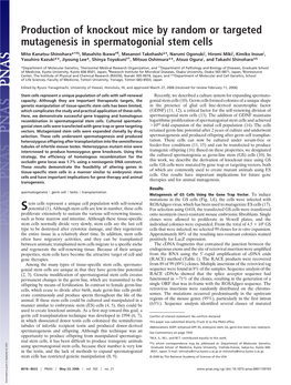 Production of Knockout Mice by Random Or Targeted Mutagenesis in Spermatogonial Stem Cells