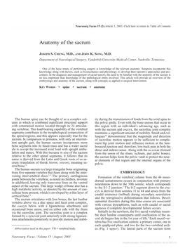 Anatomy of the Sacrum