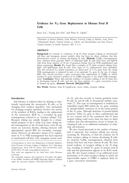 Evidence for V H Gene Replacement in Human Fetal B Cells