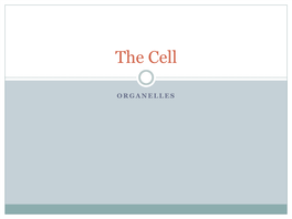 Cell Membranes