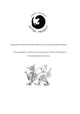 Macroparasites of the Eurasian Otter: Distribution, Life-Cycles and Population Dynamics