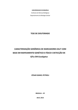 2013 Cesardanielpetroli.Pdf