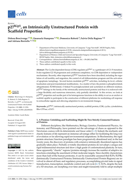 P27kip1, an Intrinsically Unstructured Protein with Scaffold Properties