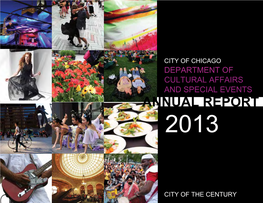 Annual Report 2013