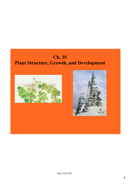 Ch. 35 Plant Structure, Growth, and Development