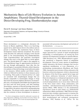 Mechanistic Basis of Life History Evolution in Anuran Amphibians: Thyroid Gland Development in the Direct-Developing Frog, Eleutherodactylus Coqui