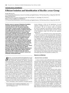 Efficient Isolation and Identification of Bacillus Cereus Group