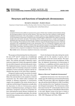 Structure and Functions of Lampbrush Chromosomes