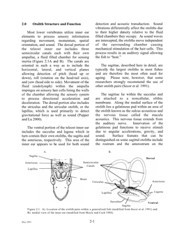 2-1 2.0 Otolith Structure and Function Most Lower Vertebrates Utilize Inner