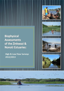 Biophysical Surveys of Zinkwazi & Nonoti Estuarie