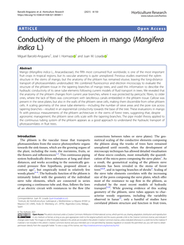 Conductivity of the Phloem in Mango (Mangifera Indica L.) Miguel Barceló-Anguiano1,Joséi.Hormaza 1 and Juan M