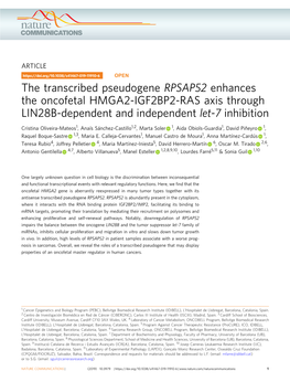 The Transcribed Pseudogene RPSAP52 Enhances the Oncofetal HMGA2-IGF2BP2-RAS Axis Through LIN28B-Dependent and Independent Let-7 Inhibition