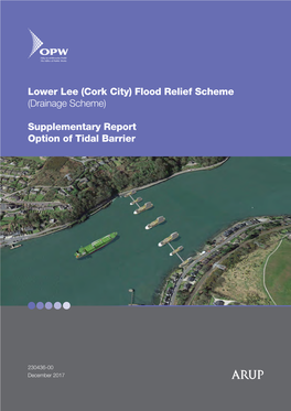 Supplementary Report Option of Tidal Barrier