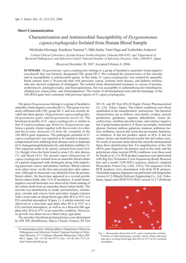 Characterization and Antimicrobial Susceptibility of Dysgonomonas Capnocytophagoides Isolated from Human Blood Sample