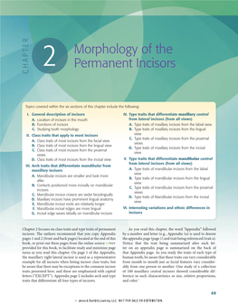 2 Morphology of the Permanent Incisors