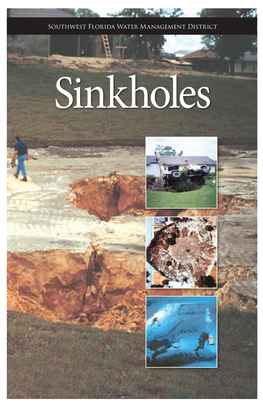 Sinkholes Brochure