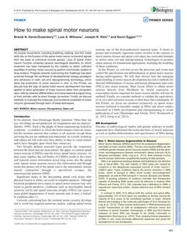 How to Make Spinal Motor Neurons Brandi N