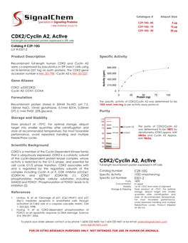 CDK2/Cyclin A2, Active CDK2/Cyclin A2, Active