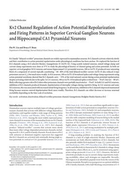 Kv2 Channel Regulation of Action Potential Repolarization and Firing Patterns in Superior Cervical Ganglion Neurons and Hippocampal CA1 Pyramidal Neurons