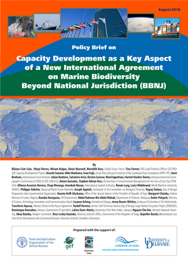 Policy Brief on Capacity Building