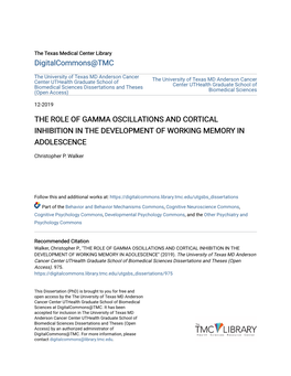 The Role of Gamma Oscillations and Cortical Inhibition in the Development of Working Memory in Adolescence