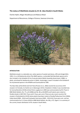 The Status of Matthiola Sinuata (L.) R. Br. (Sea Stock) in South Wales