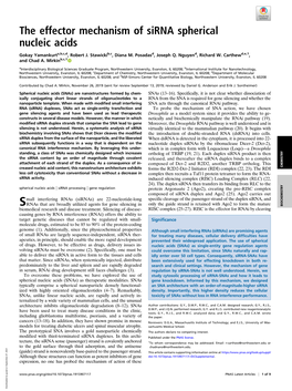 The Effector Mechanism of Sirna Spherical Nucleic Acids