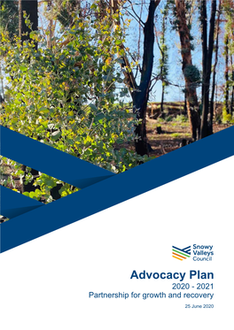 Advocacy Plan 2020 - 2021 Partnership for Growth and Recovery 25 June 2020 Contents