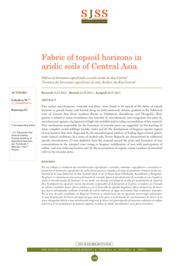 Fabric of Topsoil Horizons in Aridic Soils of Central Asia