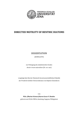 Directed Motility of Benthic Diatoms