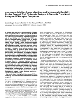 Immunoprecipitation, Immunoblotting, and Lmmunocytochemistry Studies Suggest That Glutamate Receptor 6 Subunits Form Novel Postsynaptic Receptor Complexes