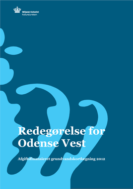 Redegørelse for Odense Vest