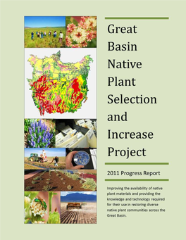 Great Basin Native Plant Selection and Increase Project